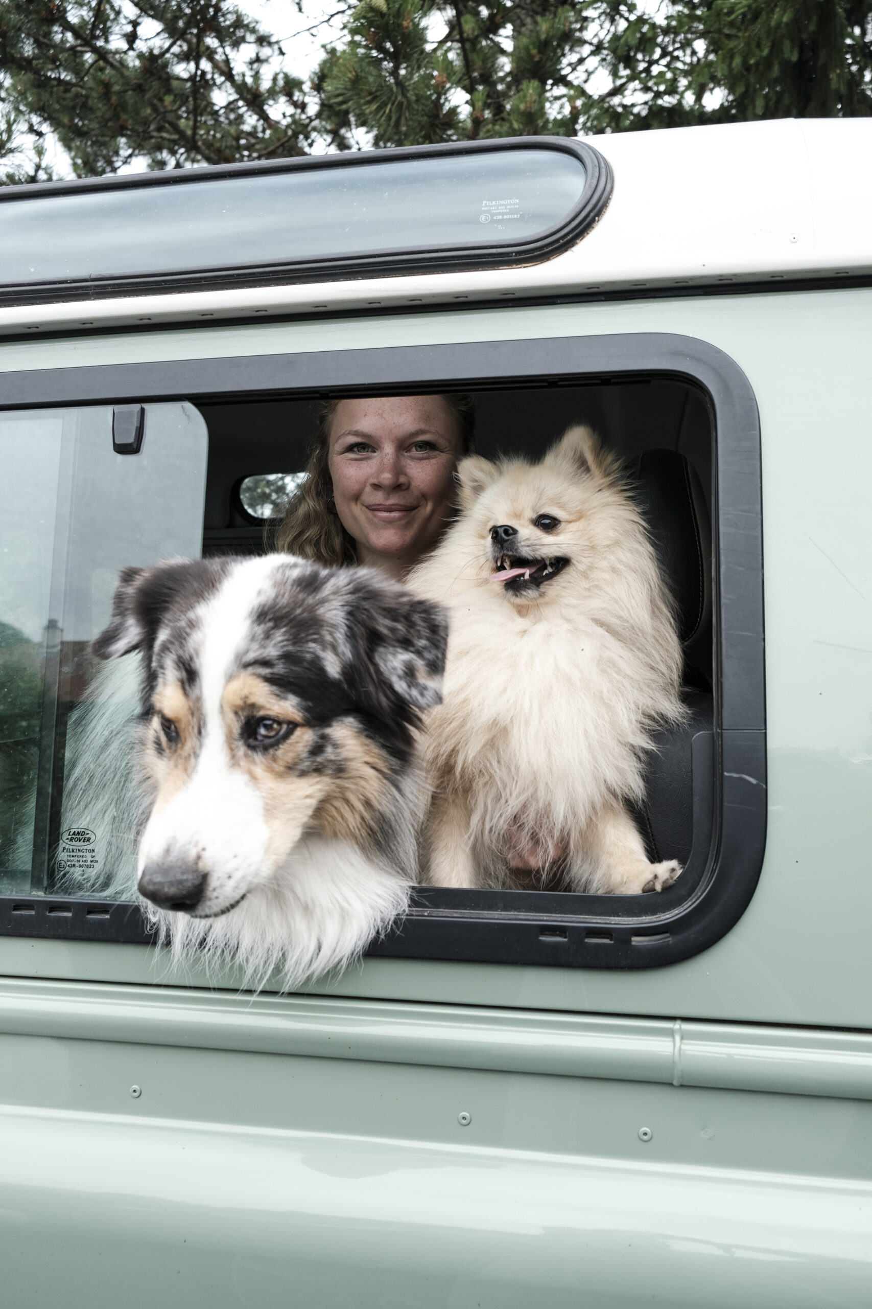 DOG_SITTER_LAHAUT_HD-15